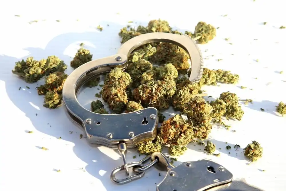 defenses to drug possession charges in tennessee